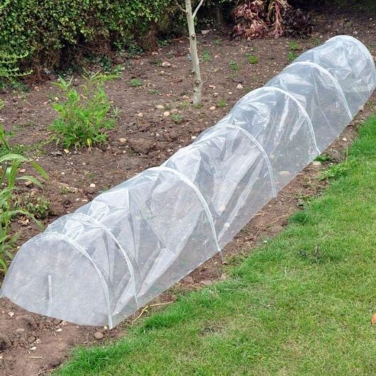 X 6m Heavy Duty Polyethylene Film, Extra Thick Transparent Garden Polytunnel Cover, Horticultural Polyethylene Membrane for Garden Insulation