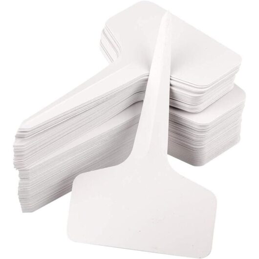 Linghhang - 100pcs Plant Markers and Labels Small Tools Gardening Accessories 6cm x 10cm (White)