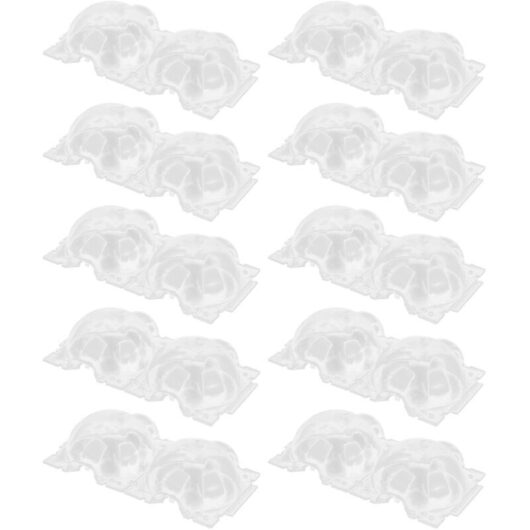 10 12 cm Plant Propagation Boxes, Plastic Containers, Transparent Planting Devices for Home Gardening, DUBUNS