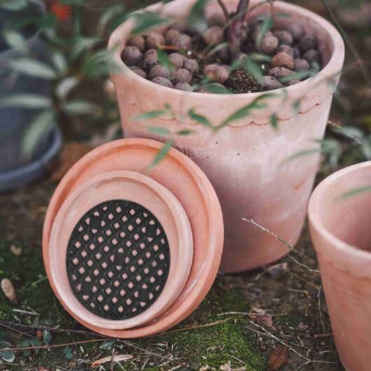 10 pieces flower pot hole mesh mat flower pot hole gardening net flower pot mat flower pot mat mesh bonsai gardening mesh flower pot plant (d