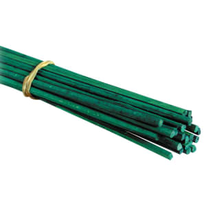Apollo 45cm Flower Support Stakes - Pack of 20