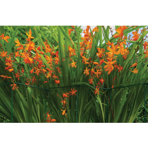 Gardman Medium Plant Link Support - Pack of 6