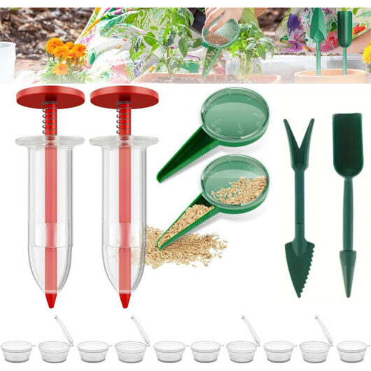 6-Piece Seed Sowing Kit - Mini Seed Dispensers with Dibber and Widger, Manual Seed Planting Tool for Small Seeds, Precision and Ease of Planting