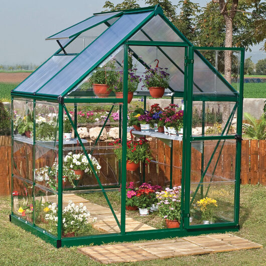 6' x 4' Palram Canopia Hybrid Green Polycarbonate Greenhouse (1.85m x 1.26m)