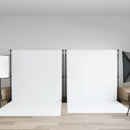 Backdrop Stands 2 pcs Black 254x243 cm Steel Vidaxl