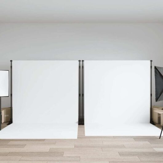 Backdrop Stands 2 pcs Black 305x243 cm Steel Vidaxl