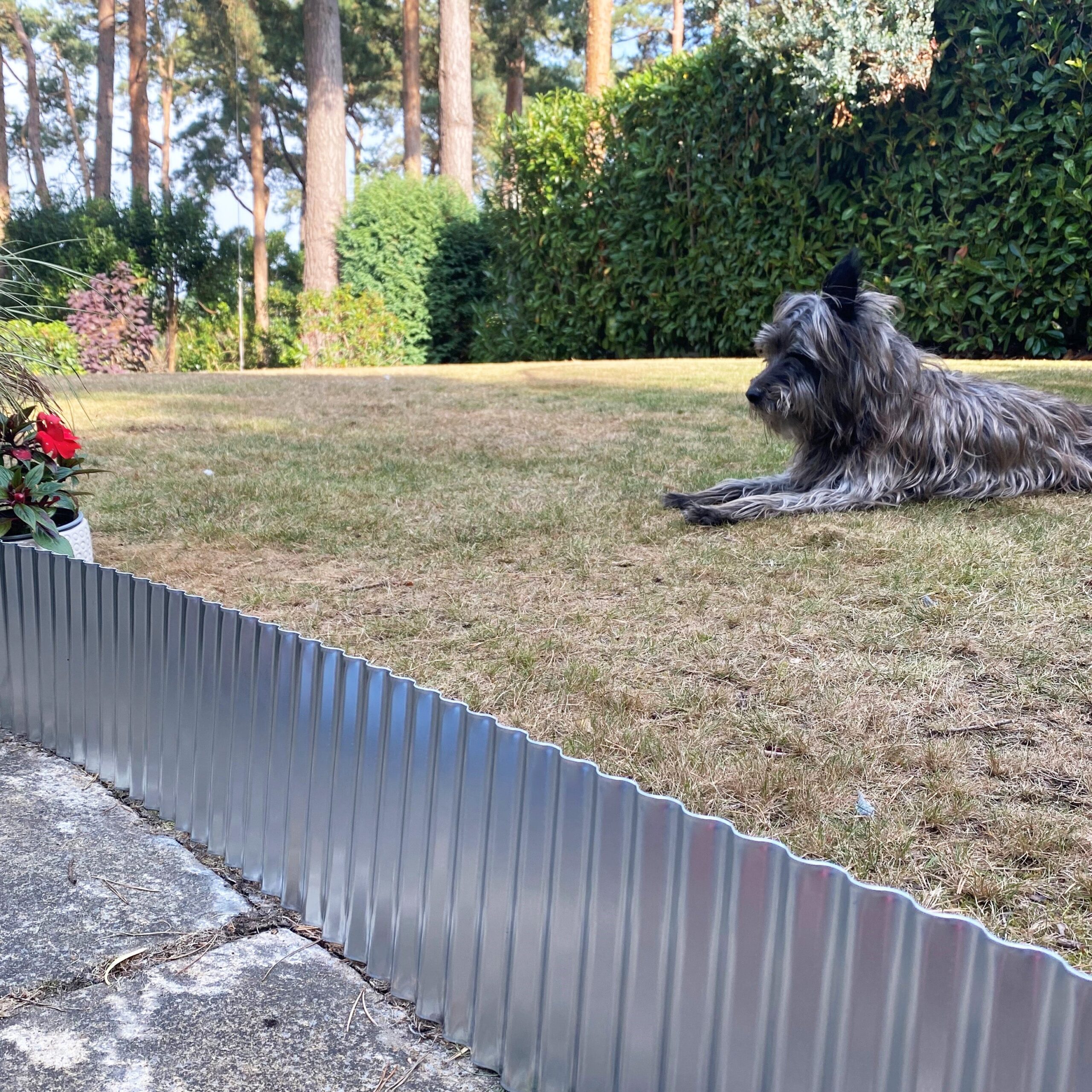 Galvanised Metal Corrugated Garden Lawn Edging (5m x 16.5cm) - 12 Rolls