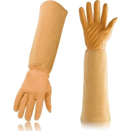 Neige - Professional Gardening Gloves Rose Pruning Thorn and Cut Resistant Size m