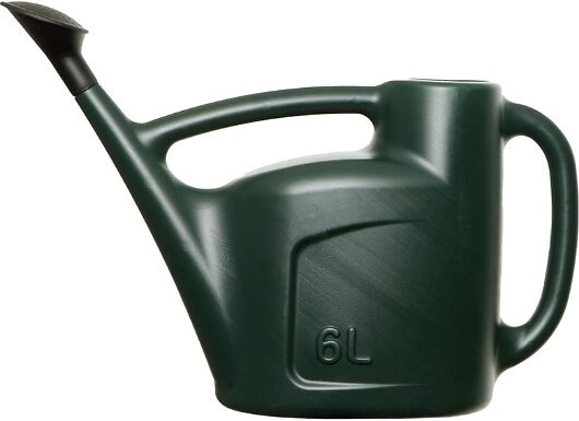Watering Can with Detachable Rose Head - 3 Sizes, 2 Colours