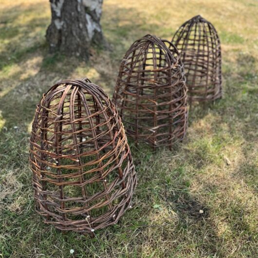 Willow Herbaceous Plant Protection Cloches (Set of 3)